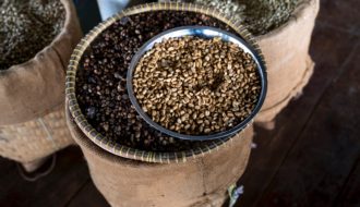 buy single origin coffee
